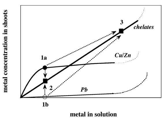 FIGURE 5. Simplified schematic of the accumulation of Cu, Zn, and Pb in shoots in absence (lines labeled “Pb” and “Cu/Zn”) and presence of chelating agents (line labeled “chelates”). Circles 1a and 1b represent the uptak