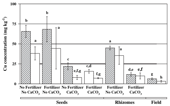 Fig. 1. Cu accumulation in roots (filled columns) and shoots (white columns) of plants grown from seeds (n = 3) or rhizomes (n = 4) under different treatments and of plants collected in the field (n = 5). Black bars on c