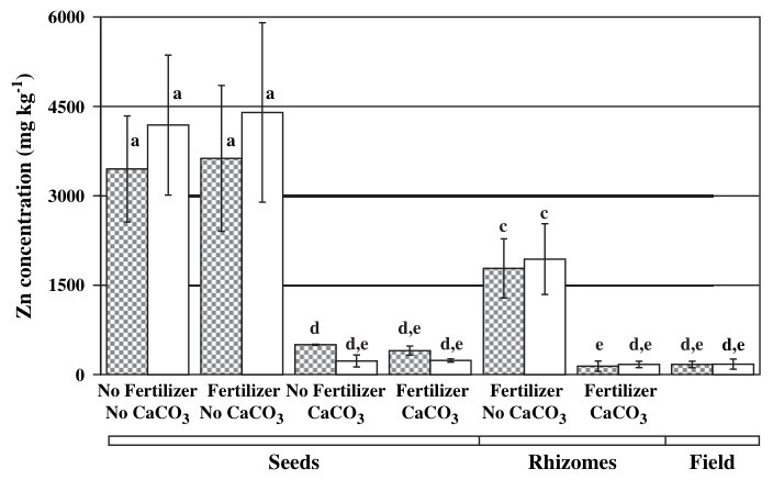Fig. 2. Zn accumulation in roots (filled columns) and shoots (white columns) of plants grown from seeds (n = 3) or rhizomes (n = 4) under different treatments and of plants collected in the field (n = 5). Black bars on c