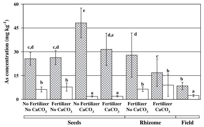 Fig. 5. As accumulation in roots (filled columns) and shoots (white columns) of plants grown from seeds (n = 3) or rhizomes (n = 4) under different treatments and of plants collected in the field (n = 5). Black bars on c
