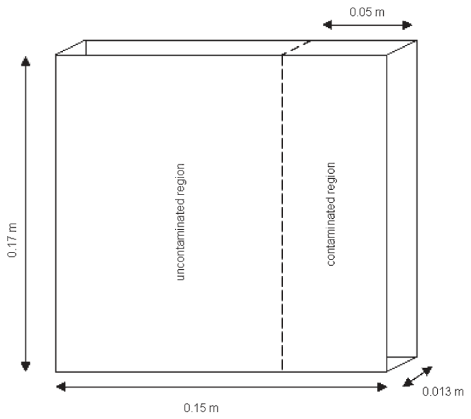 Figure 1 Experimental design of the heterogeneously contaminated slabs.