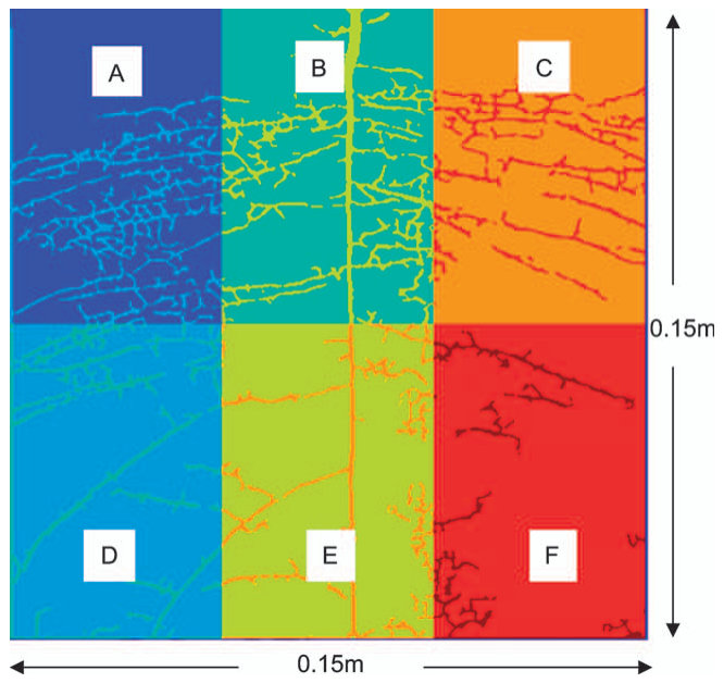 Figure 4 Image regions for volume estimation that correspond to the segments from heterogeneously contaminated soil slabs.