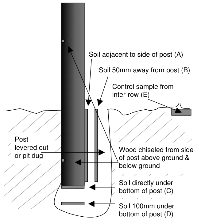Figure 1 Locations of soil and wood samples taken from around each post
