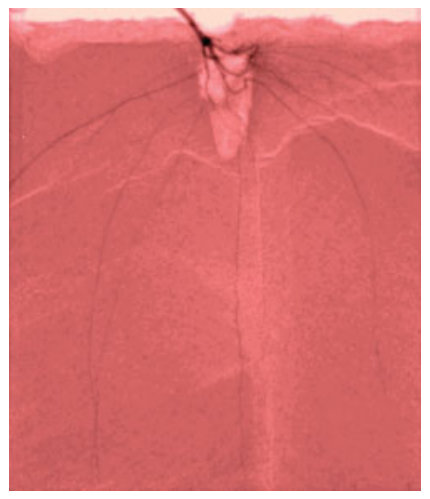 Figure from page 3 of the original article