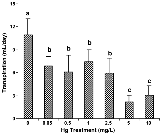 Fig. 2. Transpiration rates for B. juncea plants cultured for 5 days in solutions containing Hg at concentrations ranging from 0 to 10 mg/L. Values are the means of three replicates ± 1 standard deviation. Letters compar