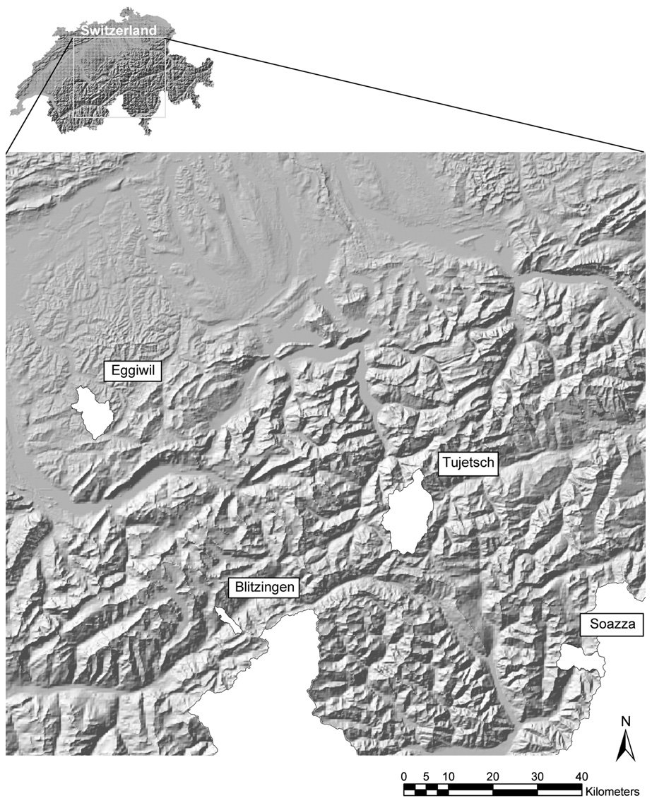 Fig. 1. Locations of the case study municipalities Tujetsch, Eggiwil, Soazza and Blitzingen in the Swiss Alps.