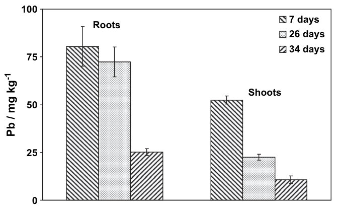 Figure 1 Measured Pb concentrations in Phacelia tanacetifolia (roots and shoots) 7, 26 and 34 days after sowing. Error bars are standard errors (n ¼ 4).