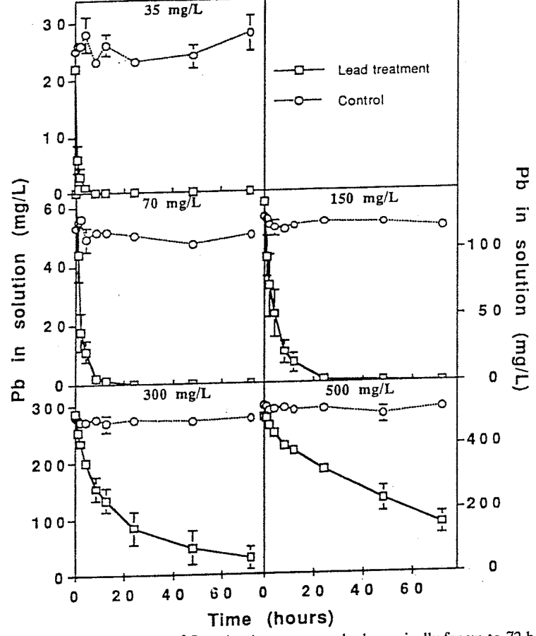 Fig.9.4. Removal of lead by roots of Brassica juncea grown hydroponically for up to 72 hours in test solutions containing 0-500 mg/L (ug/mL) lead. Source: Dushenkov et al. (1995).