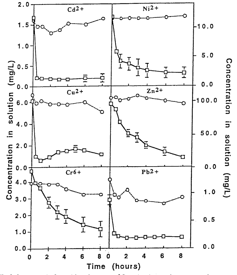 Fig.9.6. Removal of metal ions by roots of Brassica juncea (open squares) grown hydroponically in solutions of six elements for up to 8 hours. Controls (open circles) do not contain roots. Source: Dushenkov et al. (1995)
