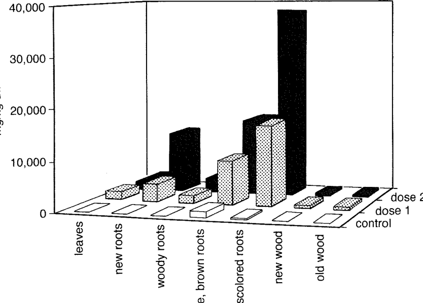 Fig. 9.8. Zinc concentrations in poplars exposed to contaminated waters. Source: Negri et al. (1996).