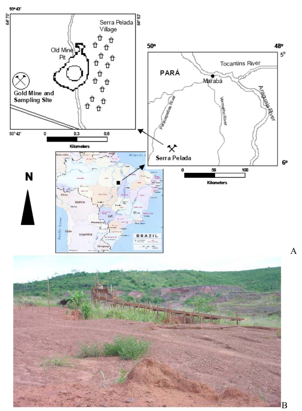 Figure 4. Location of the sampling site at the Serra Pelada artisanal gold mine, State of Pará, Brazil (A). View of a tailings area within the artisanal gold mine site of Serra Pelada (B). A sluice riffle box used for am