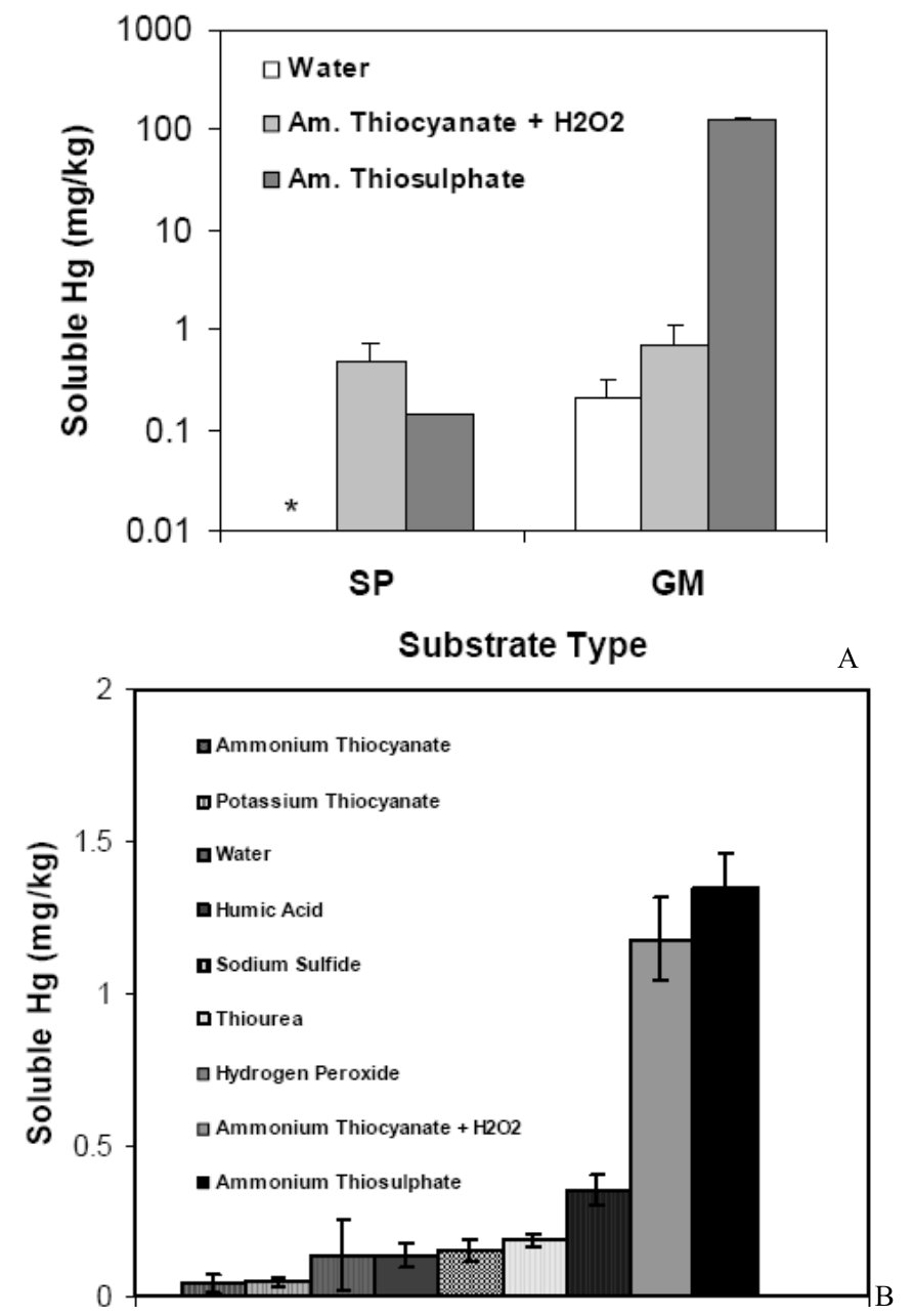 Figure 5. Effect of thioligands (applied at 2 g/L concentration) on soluble Hg concentrations of Serra Pelada (SP) and original Gold Mountain (GM) (A) and Tui (B) substrates. Bars denote ± 1 standard deviation from the m