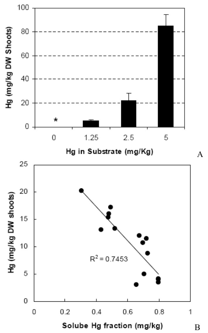 Figure 10. Accumulation of Hg in shoots of (NH4)2S2O3-treated B.juncea plants as a function of the humic acid content (g/kg) (A) and the (NH4)2S2O3-soluble Hg fraction (B) for modified GM substrates containing 2.5 mg/kg 