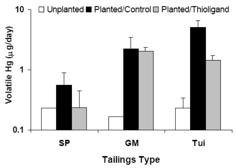 Figure 14. Volatilisation rates from B. juncea plants after application of sulphur-containing ligands to mine tailings. Tui and modified Gold mountain (GM) mine tailings were treated with ammonium thiosulphate at 2 g/kg.