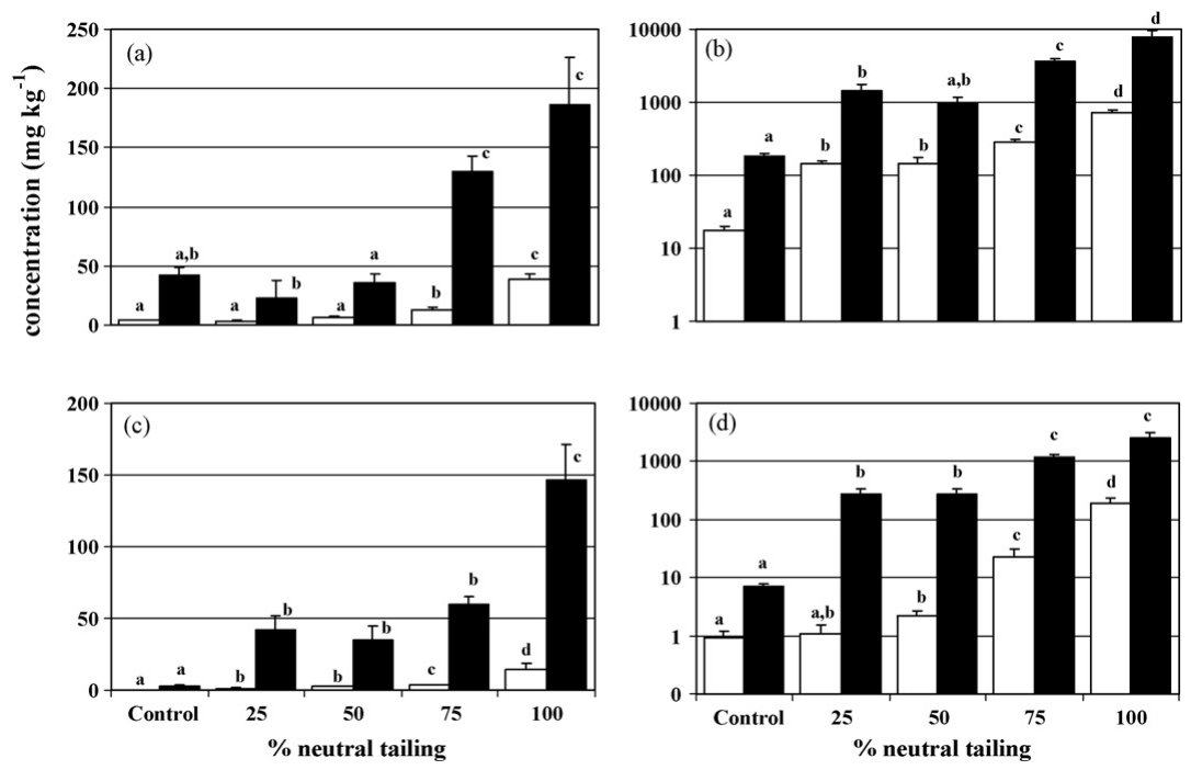 Fig. 3. Metal uptake in P. miliaceum for (a) Cu; (b) Zn; (c) Cd; (d) Pb. 3 < N < 6. White columns are shoots and black columns are roots. Error bars represent standard errors. Different letters indicated significant diff