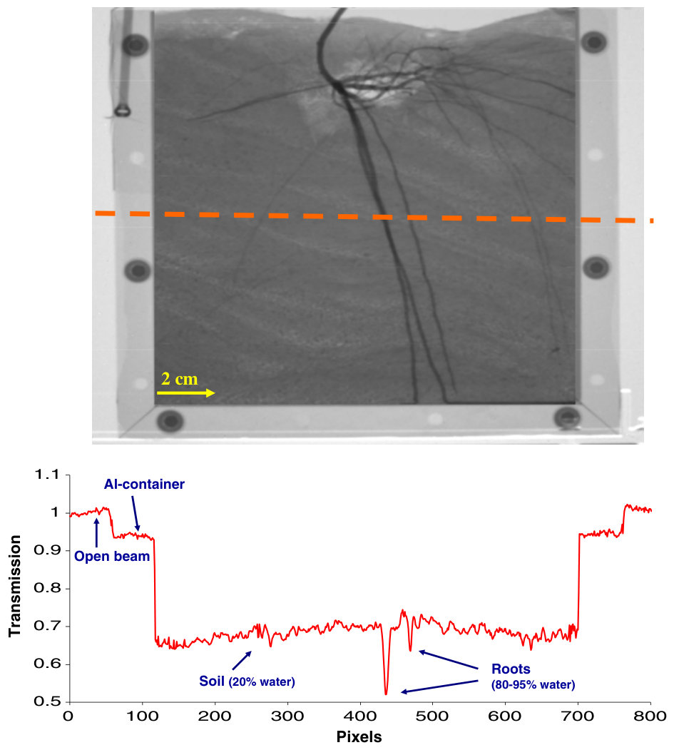 Figure 3 shows the cold-neutron Σ value of tested plant-growth media. The dry porous glass beads (Schott, Germany) used in this study had the highest Σ (1.44 cm−1) and thus the lowest transmittance. This is because the g