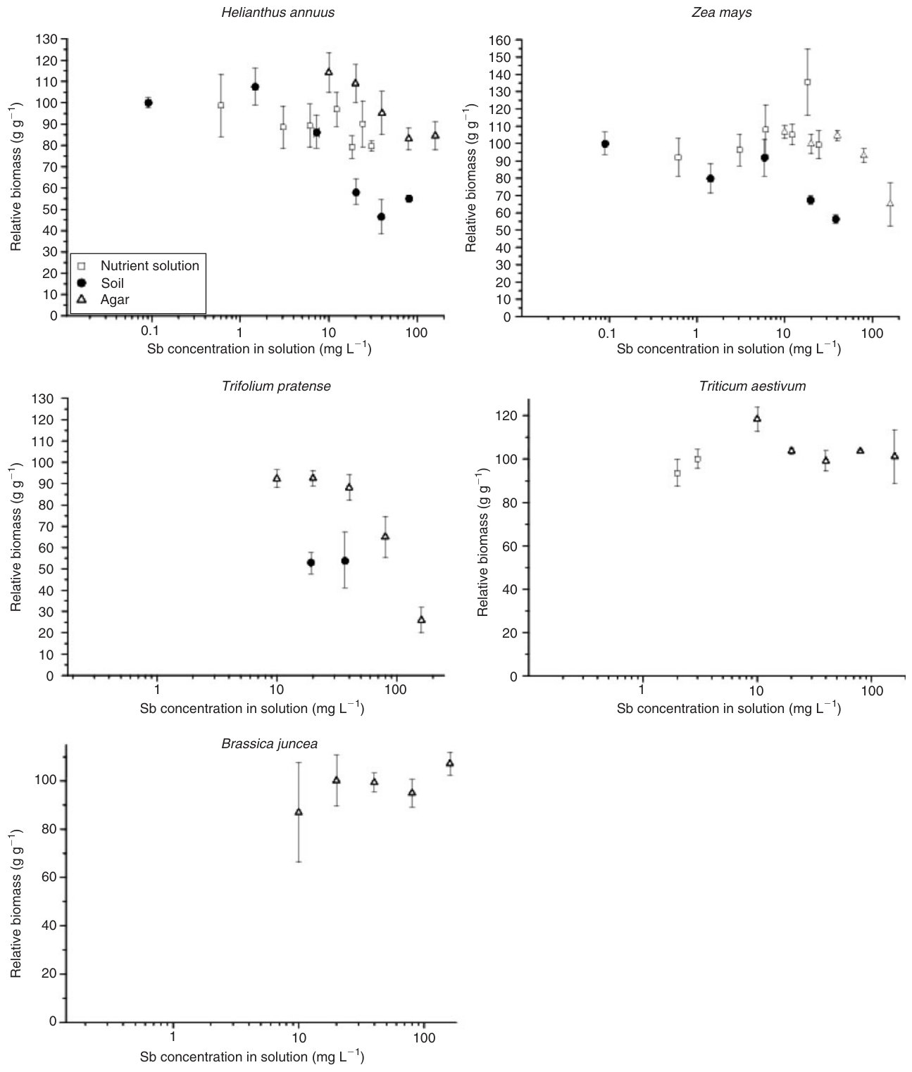 Fig. 4. Dependence of the relative biomass (control = 100%) of sunflower, maize, wheat, Indian mustard and clover seedlings on the available Sb concentration in the growth medium: hydroponic solution (squares), agar (tri