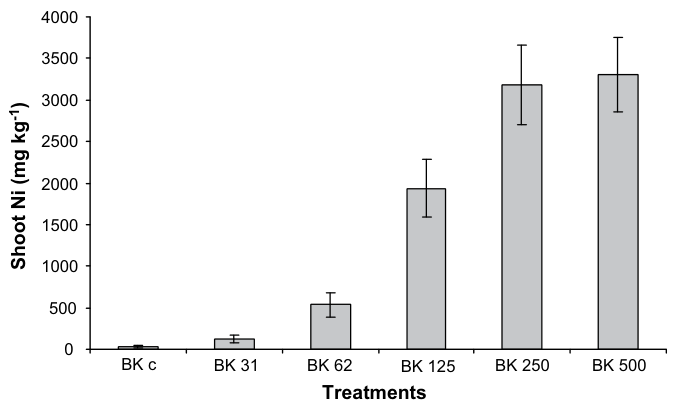 Fig. 3. Ni concentrations in the shoot biomass of Berkheya coddii under various Ni soil concentrations in the pot experiment. The error bars show standard deviation of the mean. Treatments without overlapping error bars 