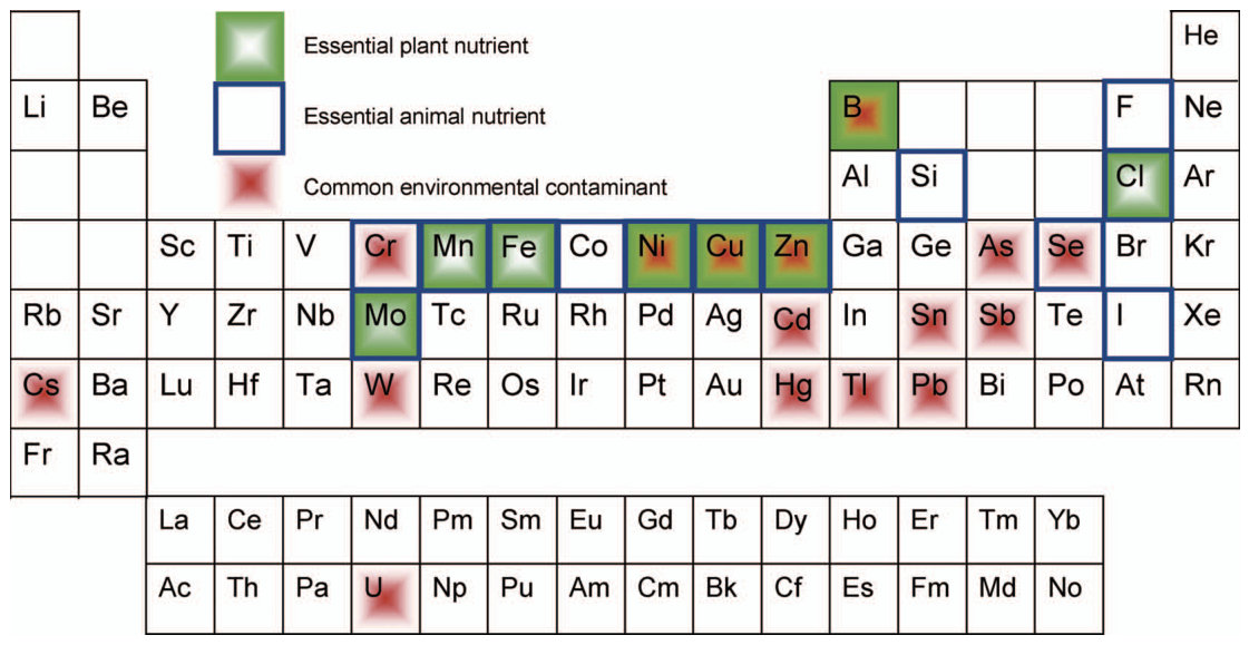 FIG. 1. Periodic table of the trace elements that may occur in living organisms. The empty fields are macronutrients.