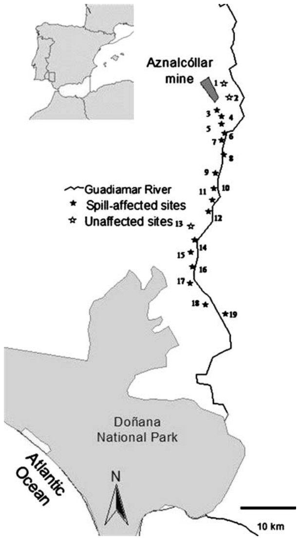 Fig. 1 Map of the Guadiamar River Valley (SW Spain) in the Iberian Peninsula (insert) and location of the sampling sites