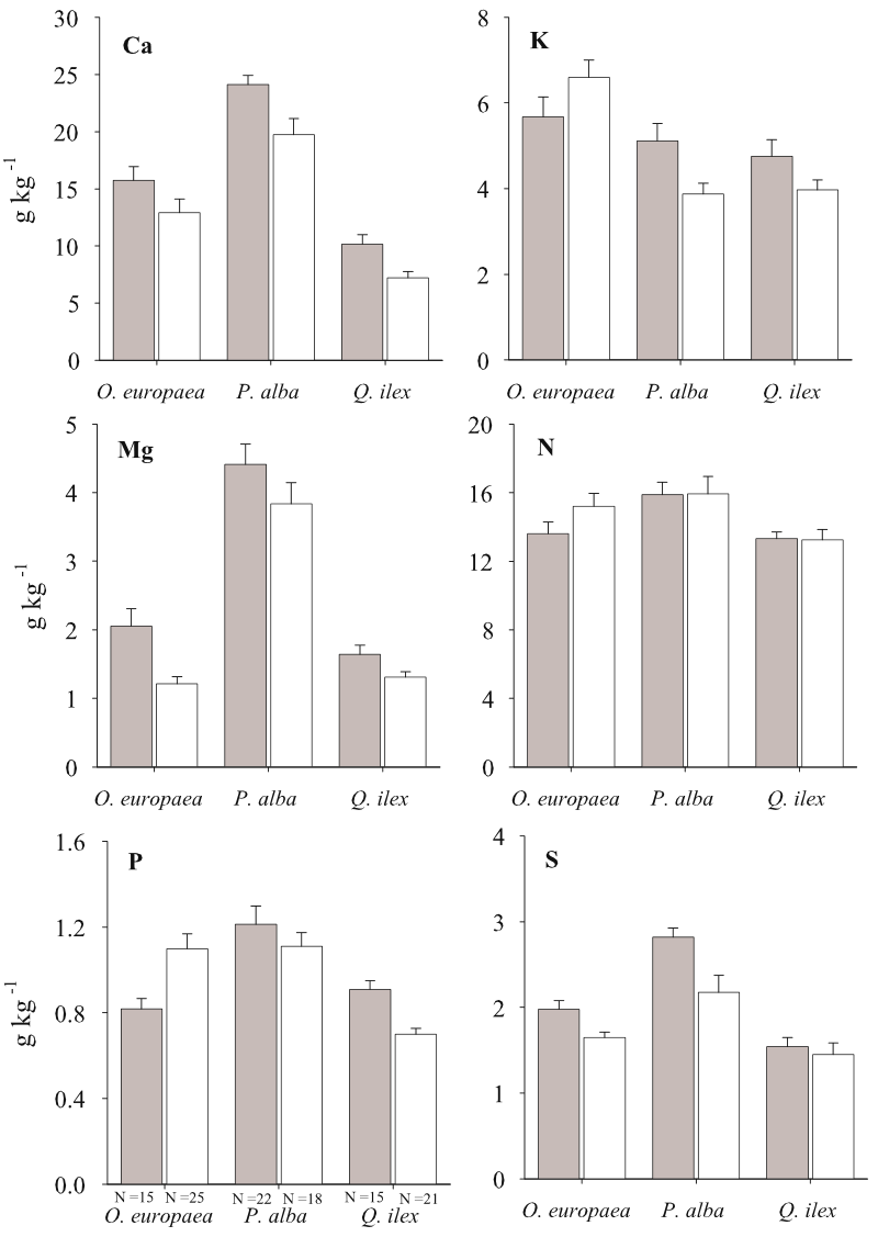 Fig. 5 Nutrient concentrations (mean and standard error) in the leaves of the studied species. Gray and white bars correspond to adult trees and saplings, respectively