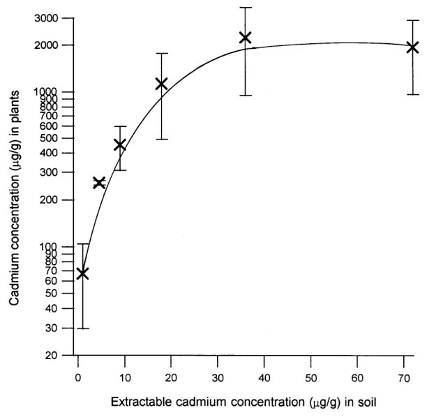 Figure 4. The cadmium content of specimens of Thlaspi caerulescens as a function of the extractable cadmium content of the soils.