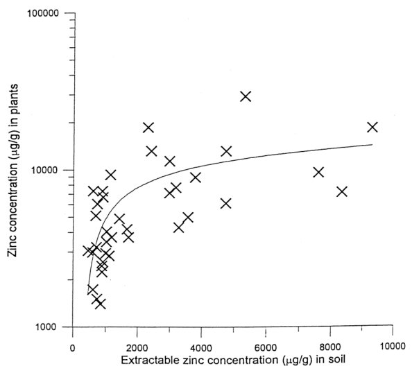 Figure 7. Uptake of zinc by specimens of Thlaspi caerulescens as a function of the extractable (1 M ammonium acetate) zinc content of the soil.