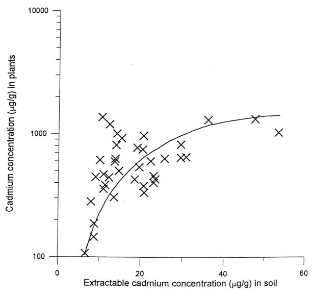 Figure 8. Uptake of cadmium by specimens of Thlaspi caerulescens as a function of the extractable (1 M ammonium acetate) cadmium content of the soil.