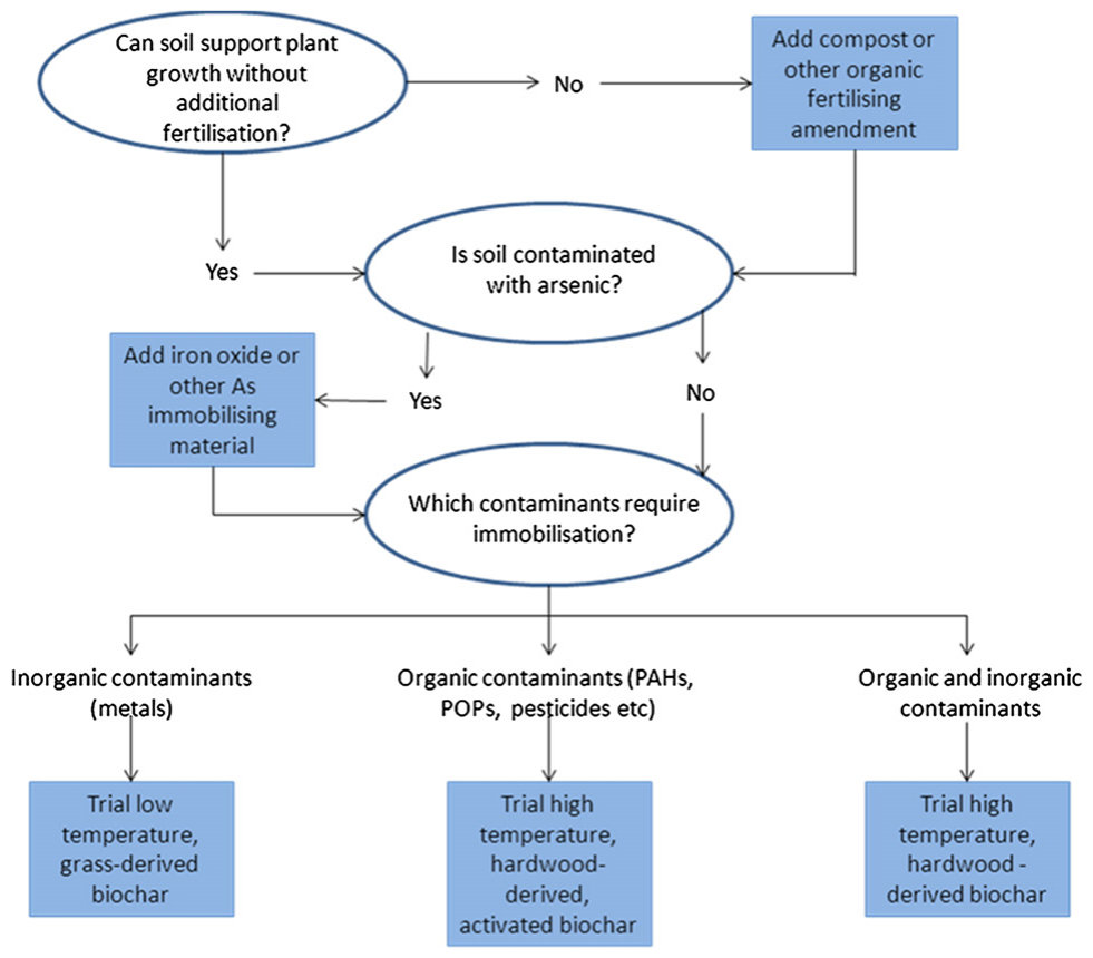 Fig. 2. Simplified schematic representation of scenarios in which various biochars could be trialled on polluted soils, relating to whether or not soil possesses sufficient nutrient capital to sustain vegetation, or whet