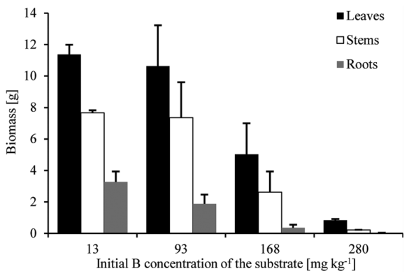 Figure 1. Leaf, stem, and root biomass of 4 month old P. nigra � euramericana saplings grown on substrates with different B concentrations. The lowest B concentration (13 mg kg�1) is the control treatment. The mass of th
