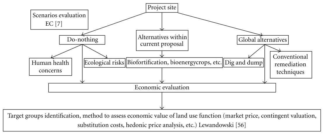 Figure 3: Scheme of evaluation steps in a project remediation site.