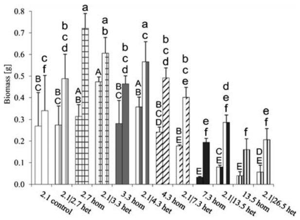 Fig. 1 Mean fine root (left bars) and shoot (right bars) biomass of 3-month old poplar plants grown in B-spiked soil. The soil was spiked either homogeneously (hom) or heterogeneously (het). The numbers represent the soi