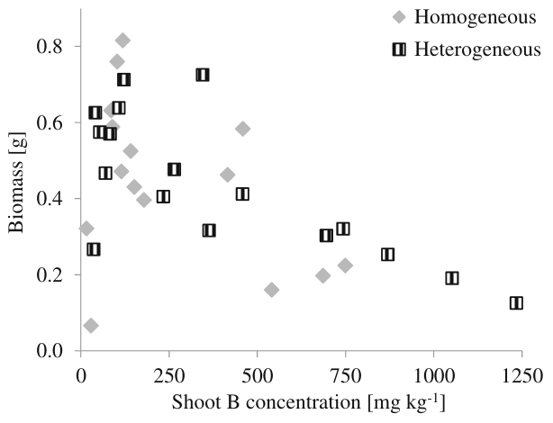 Fig. 6 Shoot biomass as a function of shoot B concentration of poplars grown in Exp 1 in the homo- and in the heterogeneous treatment