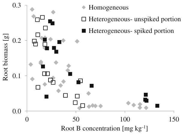 Fig. 7 Root biomass as a function of root B concentration of roots grown in Exp 1. Each point represents one half of an either homogeneously or heterogeneously spiked container and the B concentration of the roots grown 