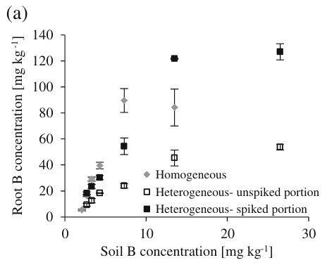 Fig. 8 a Mean root B concentrations as function of soil B concentrations. For better clarity the B concentrations of roots from the unspiked soil portions of the heterogeneous treatments are plotted against the respectiv